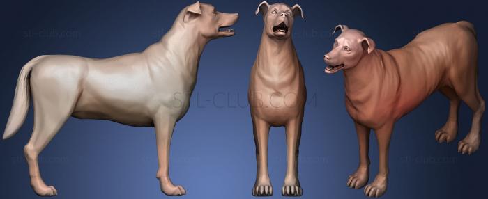 3D model Dog Collie D (STL)